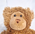 Build A Bear Shaggy Brown Bear Plush 16" Stuffed Animal — photo 2