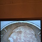 Picture 4 of 11