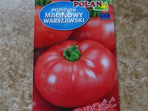 Malinowy-Warszawski-Pink-Polish-Tomato-Tasty-Productive-Heirloom-25-seeds-NonGMO