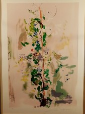 ERNESTO TRECCANI LITOGRAFIA 70X50 INCORNICIATA PROVA D'ARTISTA FIRMATA NUMERATA