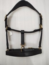 Leather Halter with Black Crystal , Black Padding and Brass Fittings, All Size.