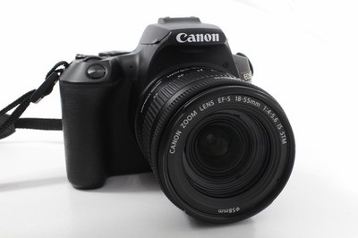 Canon EOS 250D 18-55mm IS STM Kit, neuwertig, 6000 Auslösungen
