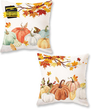 Fall Pumpkins Pillow Covers 16X16 Inch Set of 2