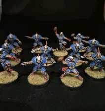 Well Painted Human Team: Reikland Reavers - Warhammer Blood Bowl