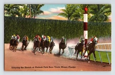 Postcard Horse Racing Hialeah Park Miami Florida 1940s Unposted Linen