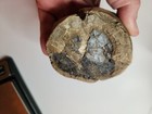 Picture 20 of 21