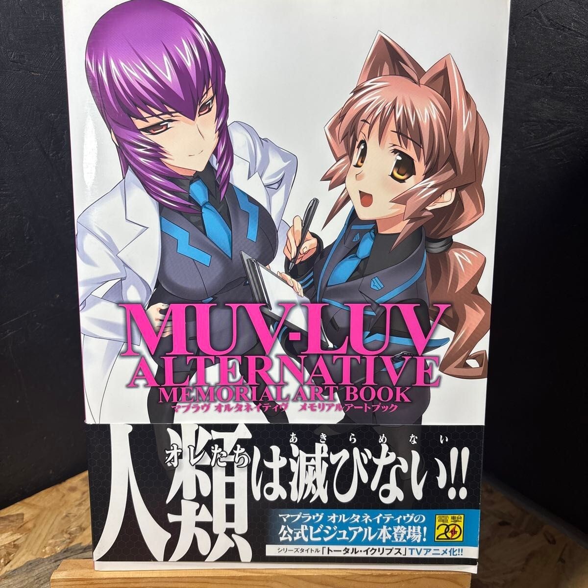 マブラヴオルタネイティヴメモリアルアートブック = MUV-LUV ALTER…
