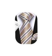 Pre Tied Ties for Men Paisley Solid Striped Necktie and C-champagne/Striped