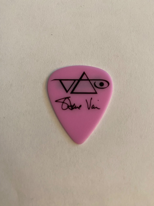 steve vai guitar pick
