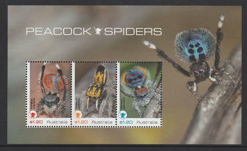 AUSTRALIA 2023 - Peacock SPIDERS Minisheet & Design set both MNH in STAMP PACK - Picture 3 of 3