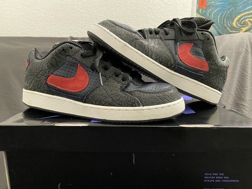 nike sb team edition