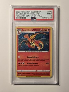 Delivery Charizard | eBay