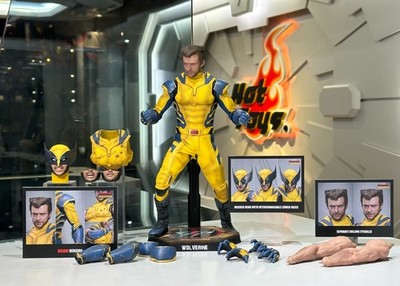 🔥 Hot Toys MMS754 Deadpool & Wolverine Wolverine (Deluxe Version