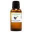 thumbnail 38 - Essential Oils - 30 mL (1 oz) - 100% Pure Therapeutic Grade Oil - 60+ Options!