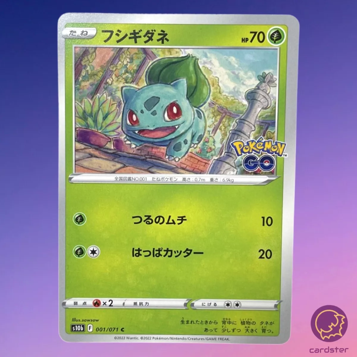 Bulbasaur pokemon card  Pokemon go cards, Pokemon, Pokémon tcg