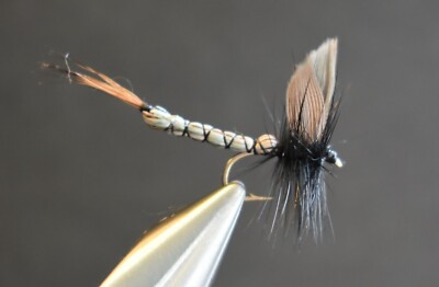 EXTENDED BODY GNAT Dry Fly Fishing Fly Flies, 1 Fly, You Choose Size