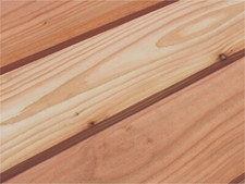 Tongue and groove shadow gap cladding - Scottish / English Larch (sample)