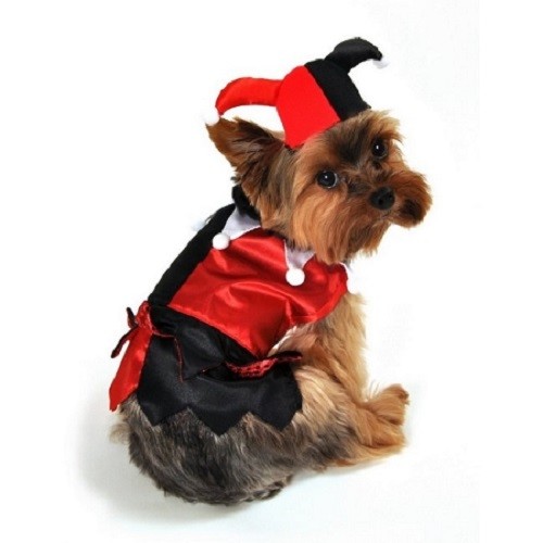 Haustier Halloween Oktoberfest Weihnachten Karneval Märchen Hund Kostüme - Bild 6 von 25