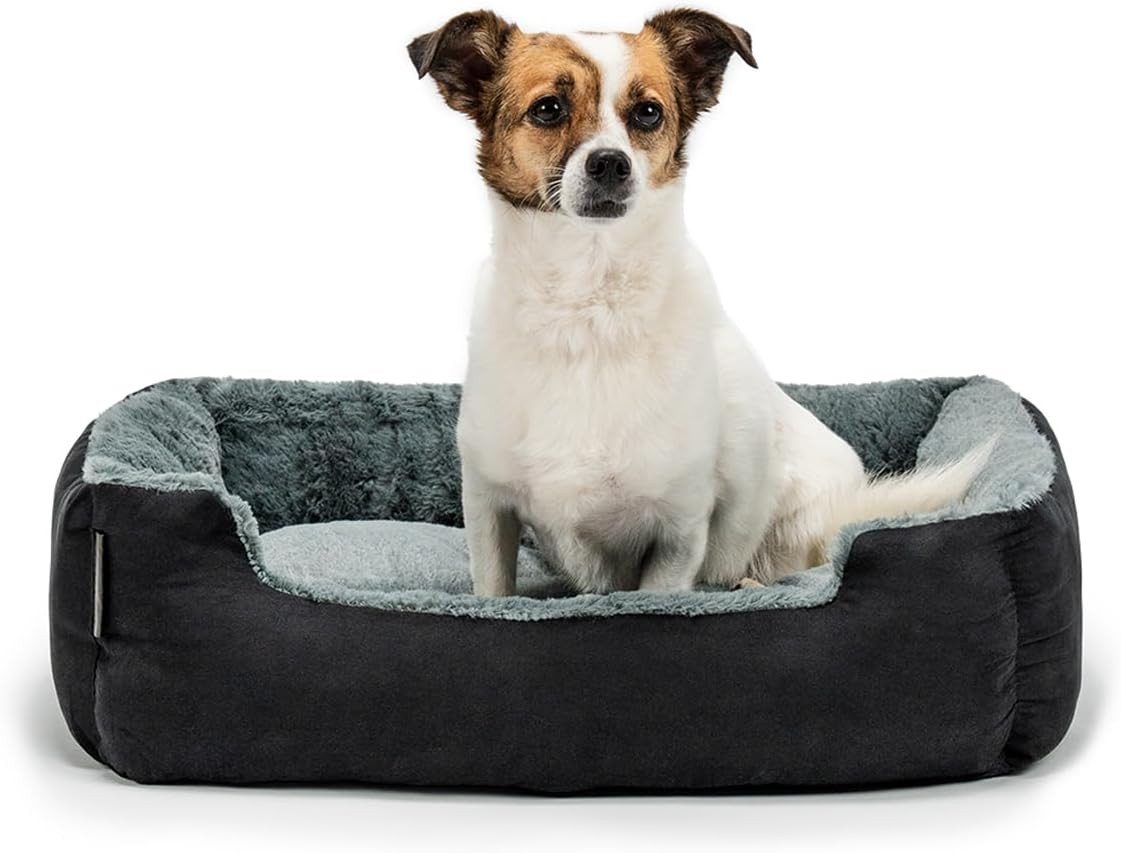 Cuscino per Cani Soffice 60x48 cm - Letto a Divanetto Grigio Accogliente
