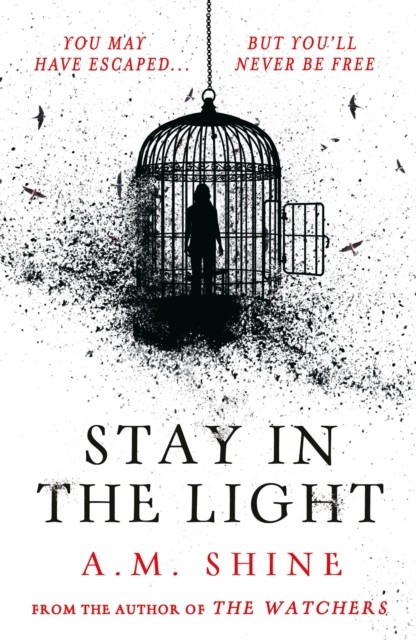 Stay in the Light by A.M. Shine - - Image 4