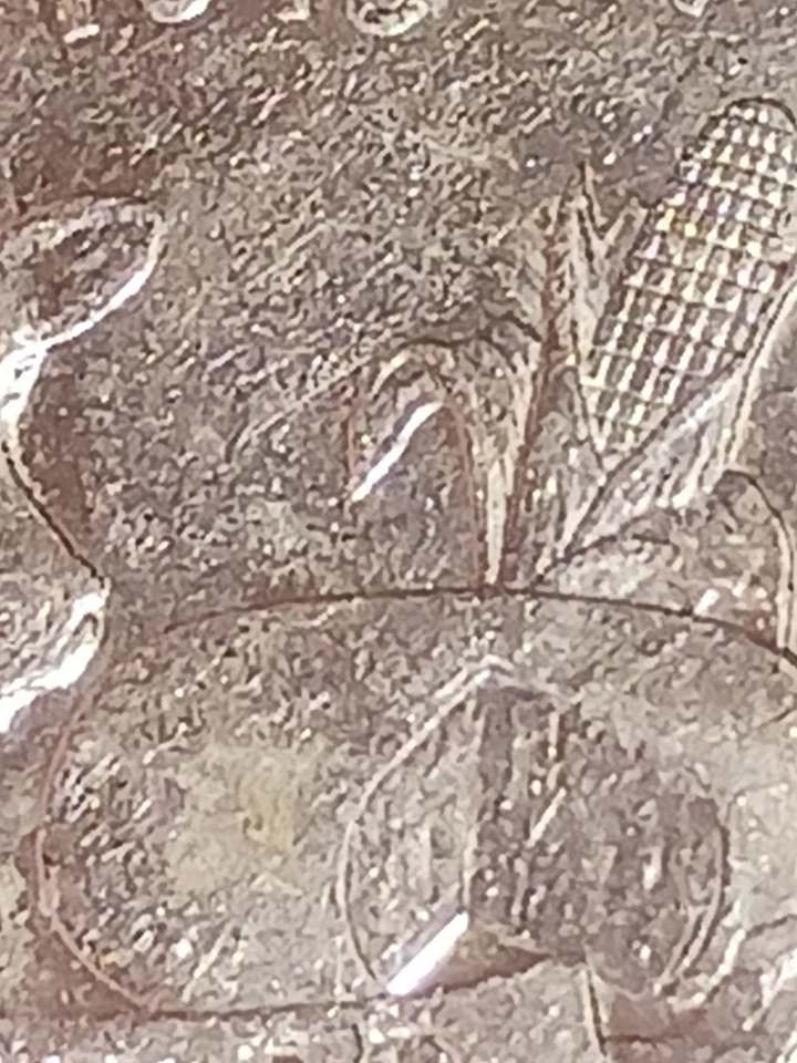 2004 P Wisconsin State quarter with leaf error, mint error 1st p mint leaf error - Image 4 of 4