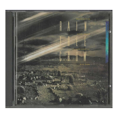 Rain Tree Crow CD Namensgeber - Same / Virgin - CDV 2659 Versiegelt