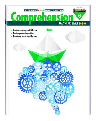 Reading Comprehension Meaningful Mini-Lessons & Practice Grade 6 - perfect N...