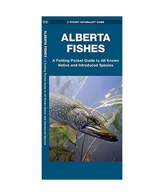 Alberta Fishes: A Folding Pocket Guide to All Known Native and Introduced Specie