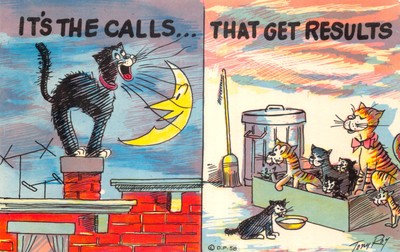 Großbritannien und Ausland Comic Postkarte Katzen gut gut plus