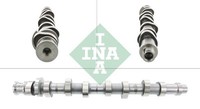 Schaeffler INA 428 0161 10 Nockenwelle FüR Audi Seat Skoda VW