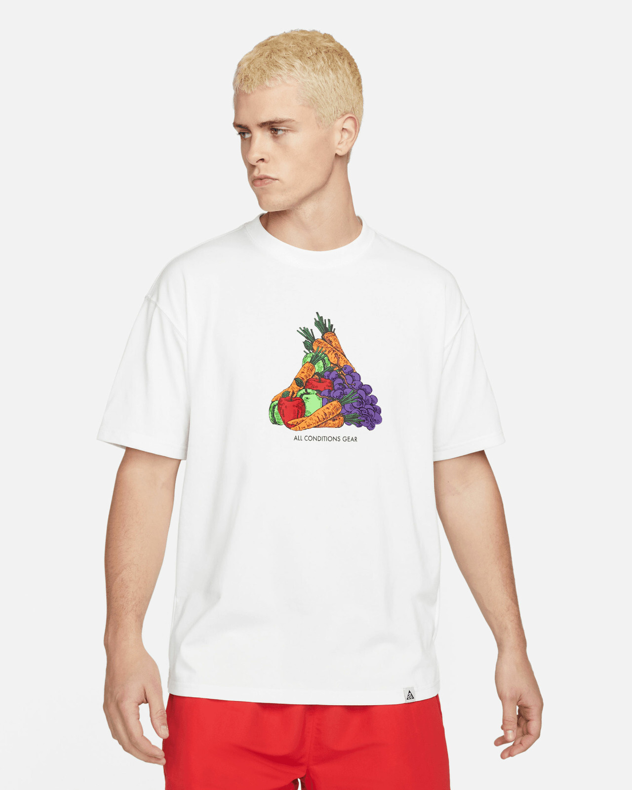 ALTRA T shirt uomo Nike ACG NRG Fruit and Veggies DQ4954 121 sport girocollo nuova 2XL