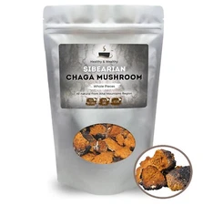 Organic Siberian Chaga Mushroom Chunks Wild Harvested from Altai Mountains