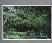 UNUSED VINTAGE POSTCARD ,FERN GROTTA , WAILUA RIVER , HAWAII
