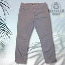 Mother sz 25 Skinny Not Skinny Beige Gray Cropped Jeans 5 Pocket 1031X