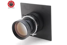 [Near MINT] Schneider Kreuznach Tele Arton 250mm f/5.6 Large Lens  From JAPAN