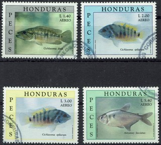 F165 Tiere Fische gestempelt Honduras