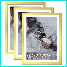 Gold 12x16 Frame Set of 3, Display Picture 10 x 14 with Mat or 12 x 16 Withou...