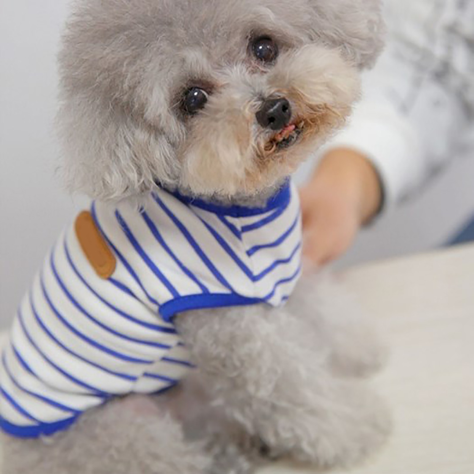 Soft Stretchy Dog Striped T Shirt For Bichon Frise Schnauzer Teddy Trending