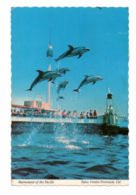 USA: Marineland of the Pacific, Palos Verdes Peninsula, Kalifornien, Delfine 