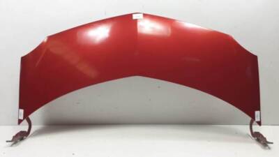 motorhaube RENAULT MODUS EXPRESSION 1.5 DCI 85 CV ROBOTIZADA ECO2 2004 3111454