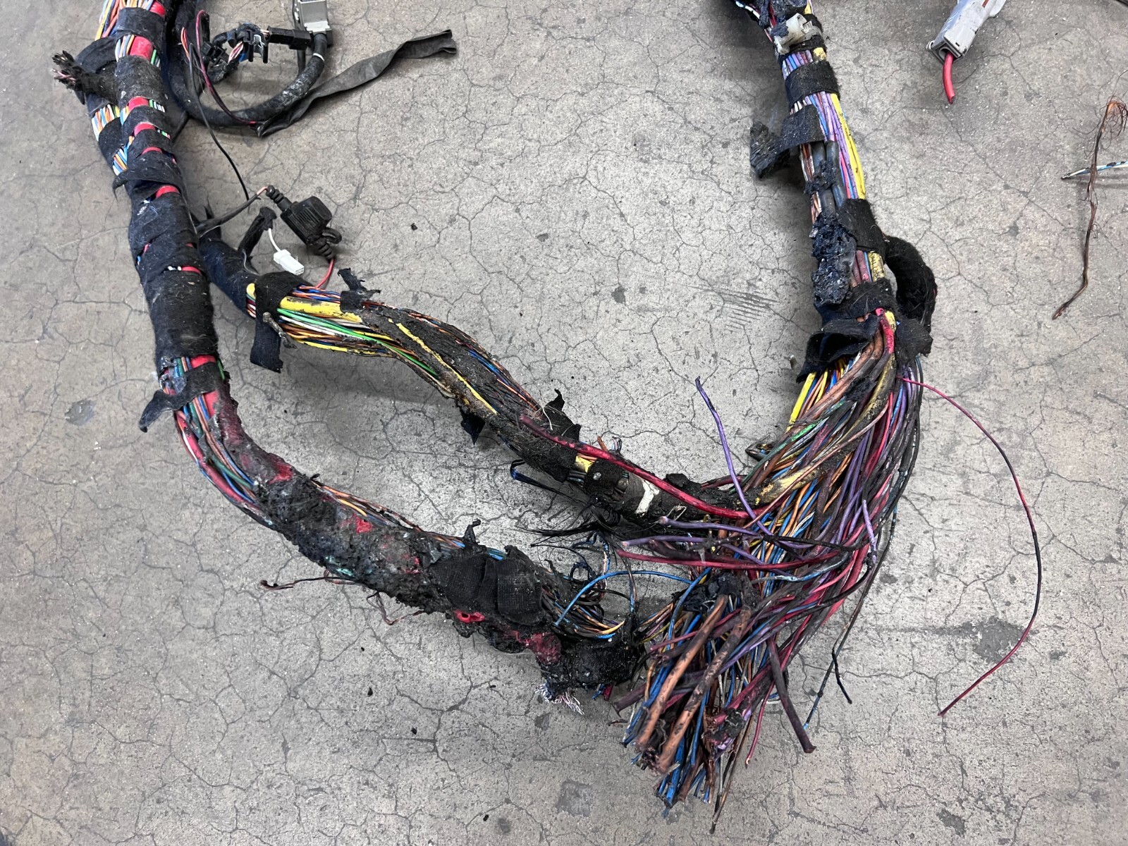 MCLAREN 650S SPIDER BODY WIRING HARNESS MISC. PIGTAILS OEM 11M3038CP 11M2401CP