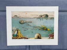 Antique 1910 Cephalopods Crawfish Crustaceans Marine Life Book Chromolithograph