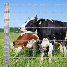 Galvanized Field Fence 6ft x 328ft Livestock Wire Mesh for Farm Yard Protection
