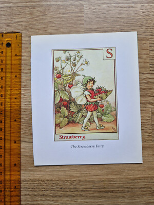 CICELY MARY BARKER: Die Erdbeere/Wandblumenfee 6 x 5 Zoll: KUNST