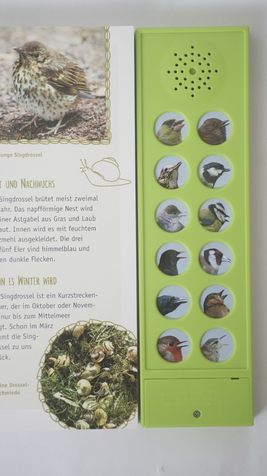 Vogel In Unserem Garten Von Holger Haag 2016 Gebundene Ausgabe Gunstig Kaufen Ebay