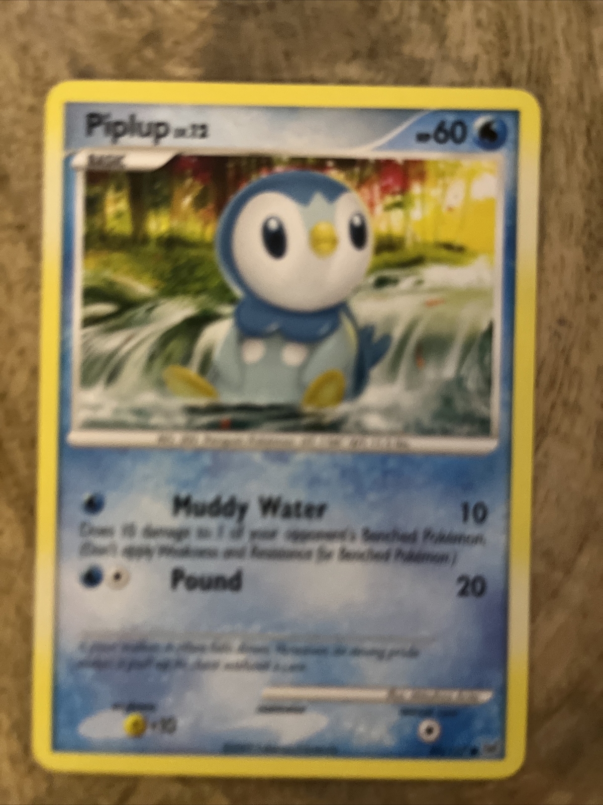 Pokémon TCG Piplup Platinum 85 Regular Common
