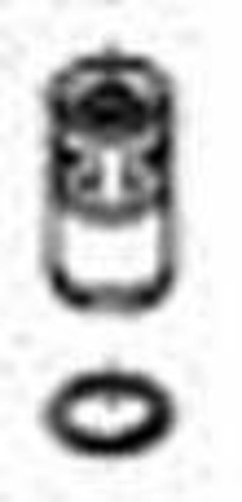 Grohe 46137000 Double Ball Vacuum Breaker eBay