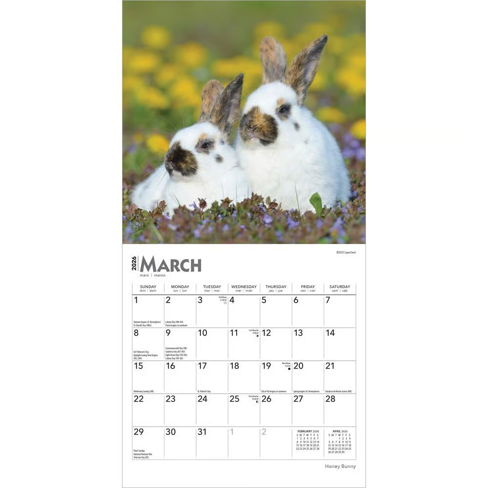 BrownTrout,  Honey Bunny 2026 Mini Wall Calendar, 7'' X 7'', 16-Month Calendar w