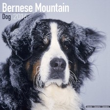 Calendrier 2016 - BOUVIER BERNOIS