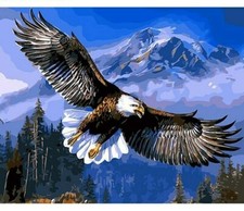 Paint By Numbers Adults kids Majestic Eagle DIY Painting Kit 40x50CM Canvas